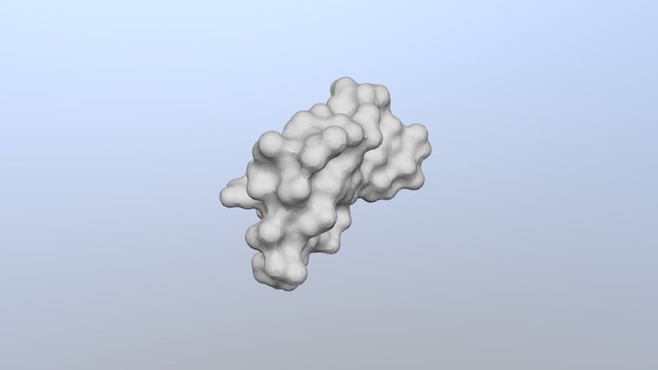 Crambin 3D Model
