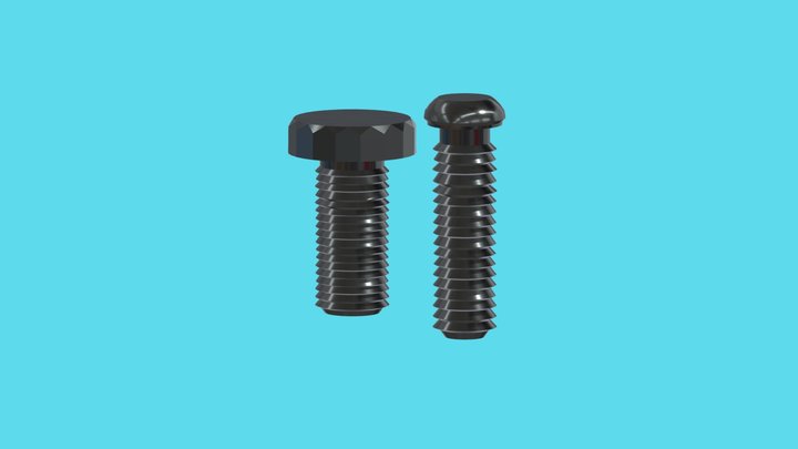 Screws 3D Model