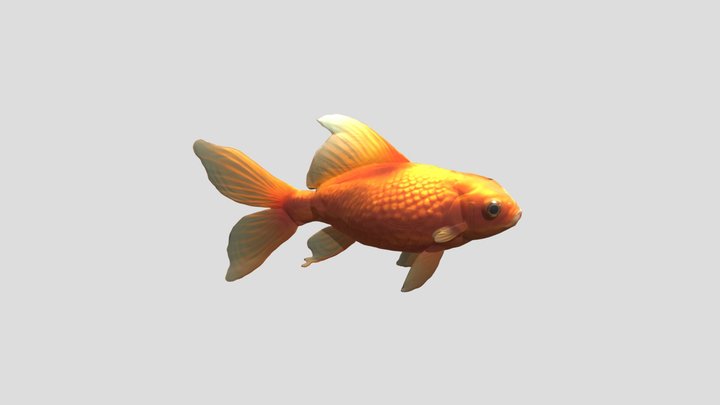 ikan koki