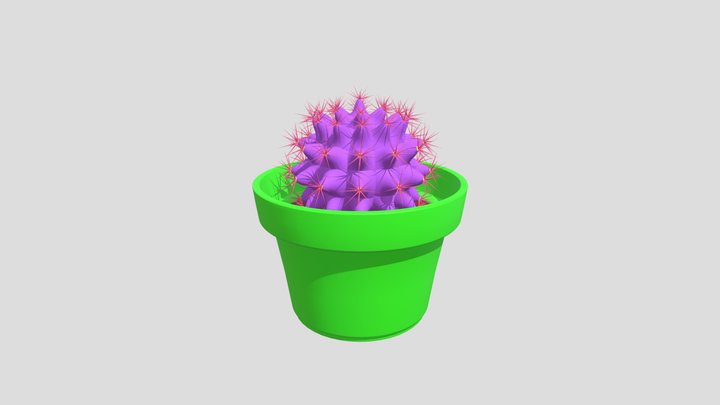 Cactus PG II 3D Model