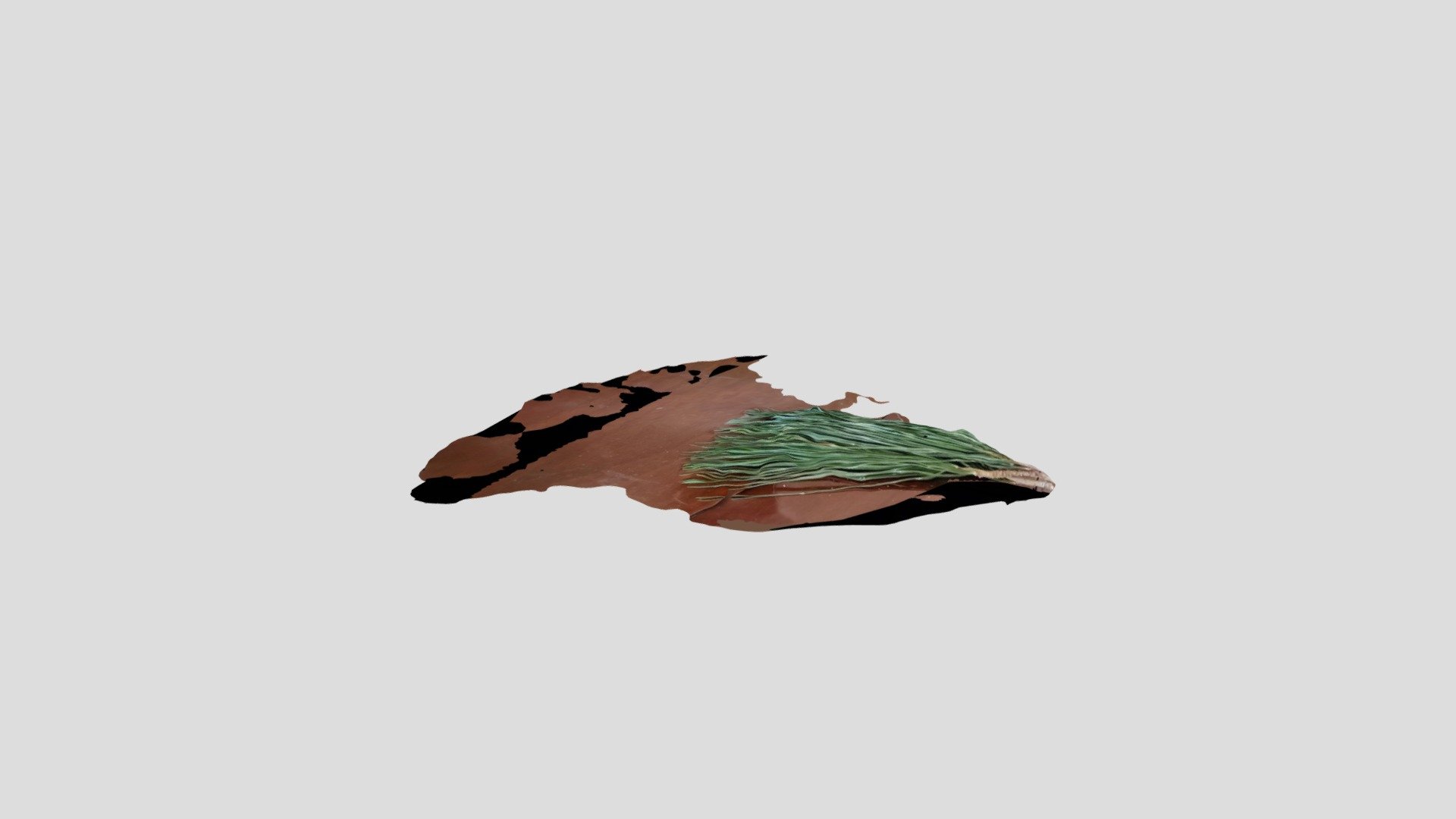 pine neddles
