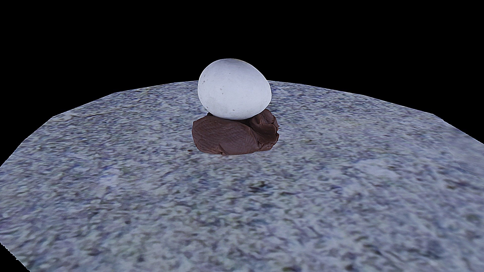 Model 28 - Pine Siskin Egg