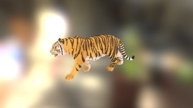 Tiger 3D Model