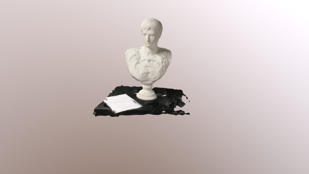 First Bust Scan