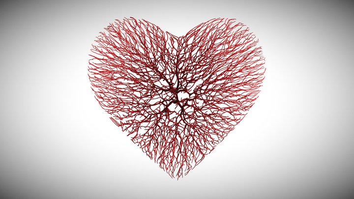 Heart shape made out of wires 3D Model