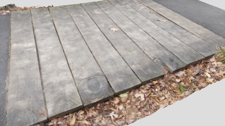 Photoscanned Wooden Path 3D Model