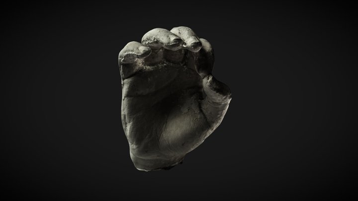 BHand (highpoly cropped) 3D Model