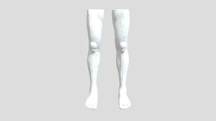 anime Legs 3D Model