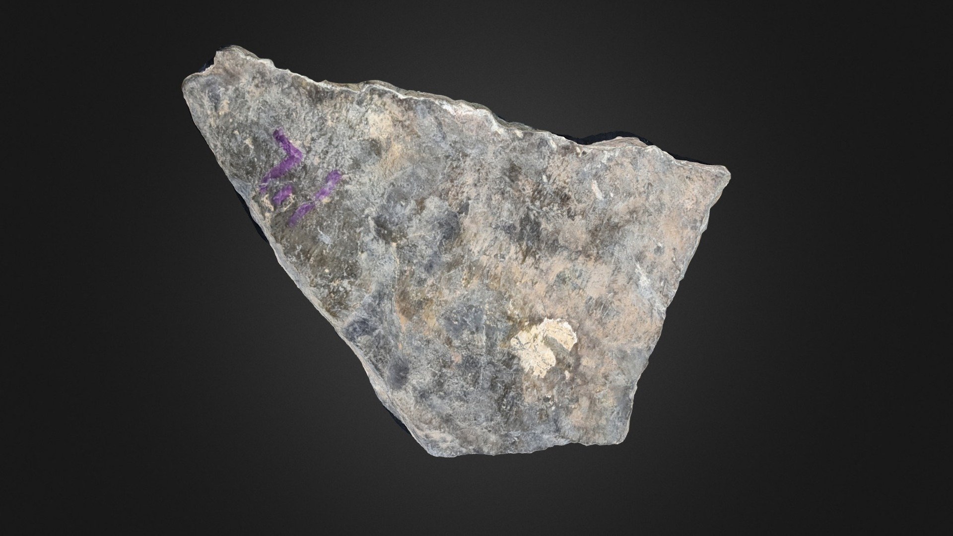 Pebble Bluff Rock 7.1 - 3D model by Rutgers University Geology Museum ...