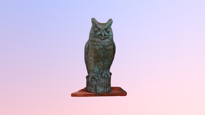 Owl 3D Model