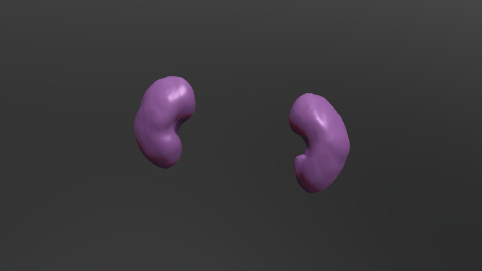 Segmentation_Kidney