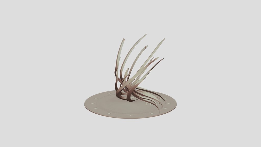 Flow of Motion