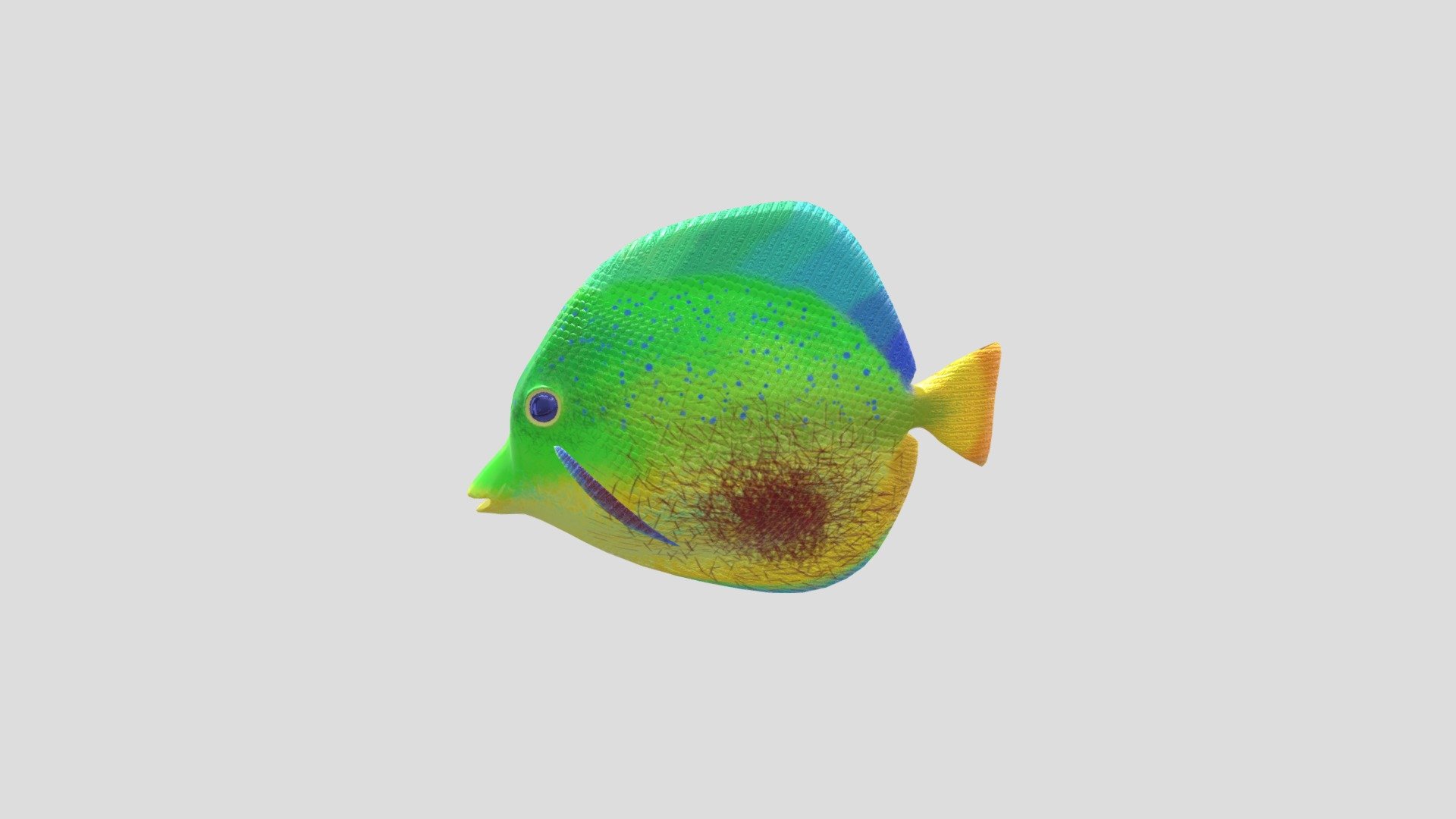 Simmons Fish - Download Free 3D model by dsimmons4 [0645ef6] - Sketchfab