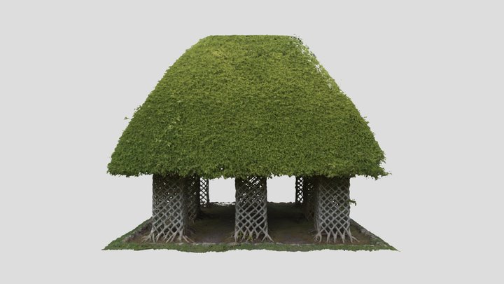 2024-01-22 Ficus hut 3D Model