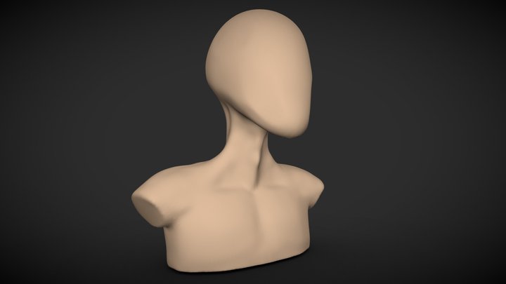 Basic Bust Shape 3D Model