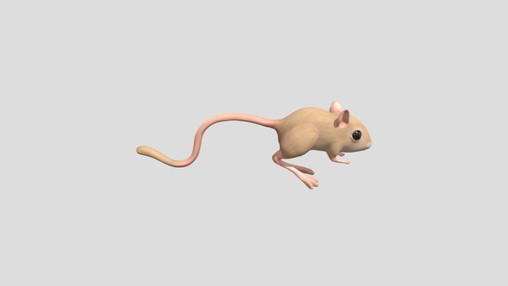 Jerboa Animation 3D Model