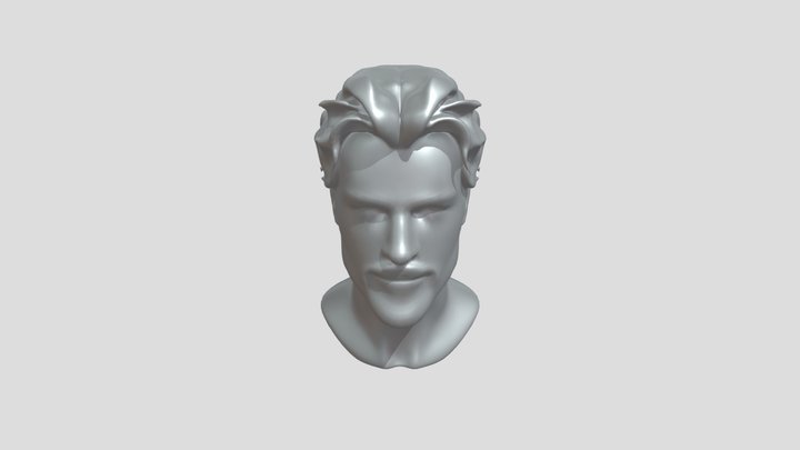 bearded male head model 3D Model