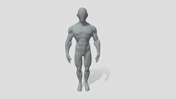 male_stylize_anatomy 3D Model