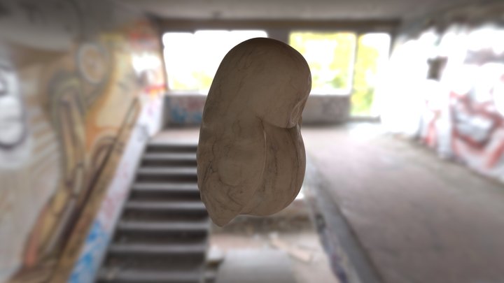 Owl 3D Model