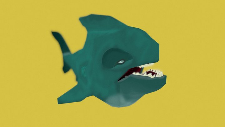 Requin 3D Model