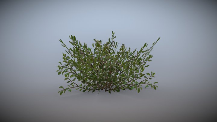 Game ready bush 3D Model