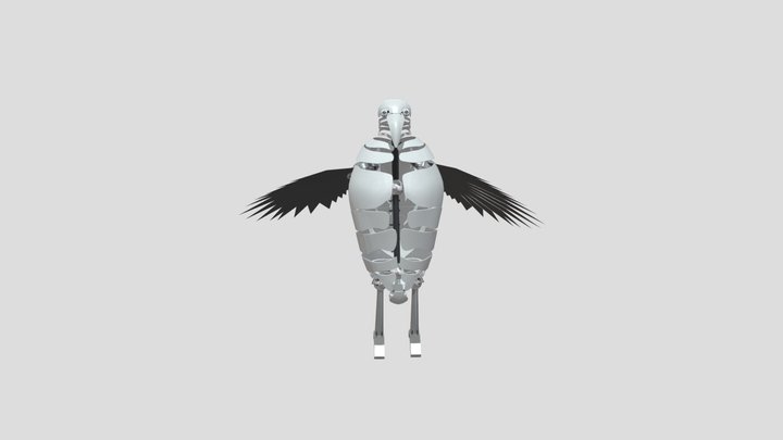 Robo bird 3D Model