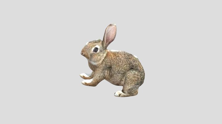 兔子跳 3D Model