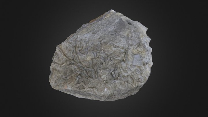 Tabulate coral: Favosites sp. (PRI 76739) – Modelo 3D gratuito STL