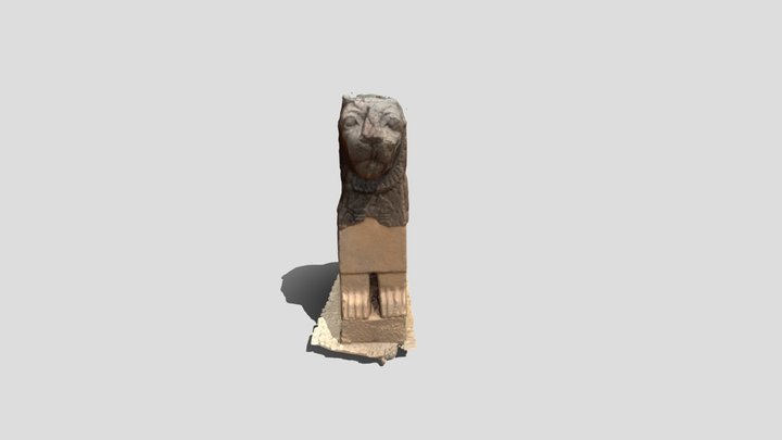 lionMesh207092020 3D Model