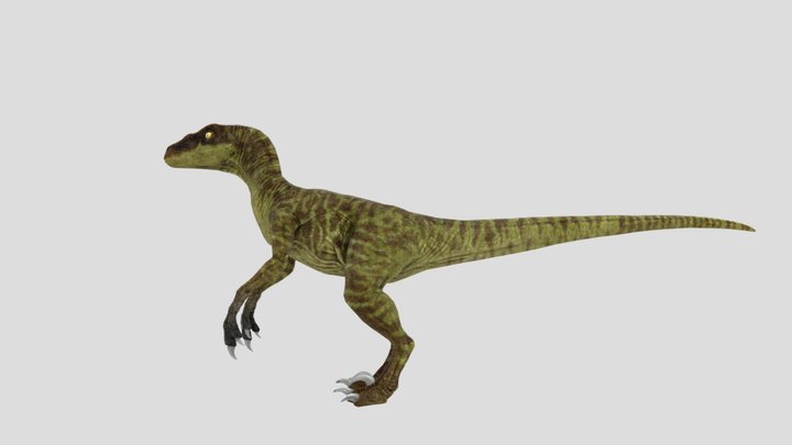 Velociraptor JWCC