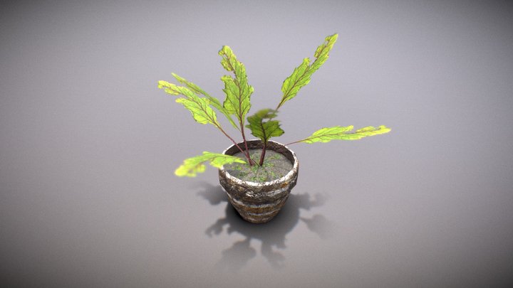 Home plant (game ready) 3D Model