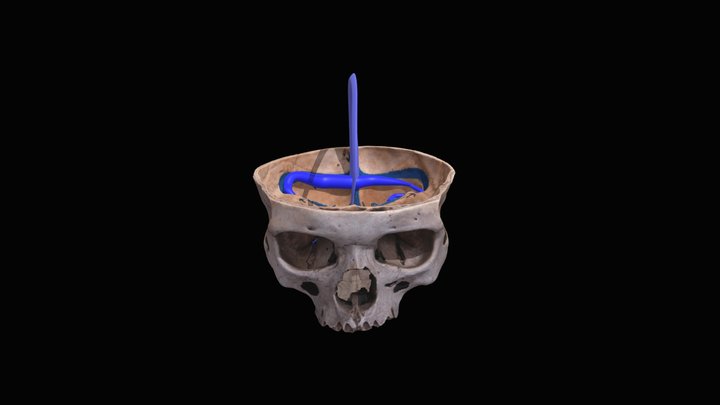 XXX2 3D Model