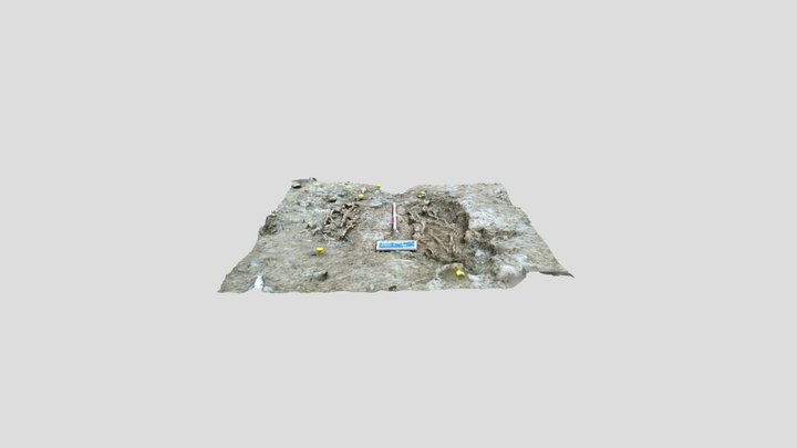 Photogram _4b 3D Model