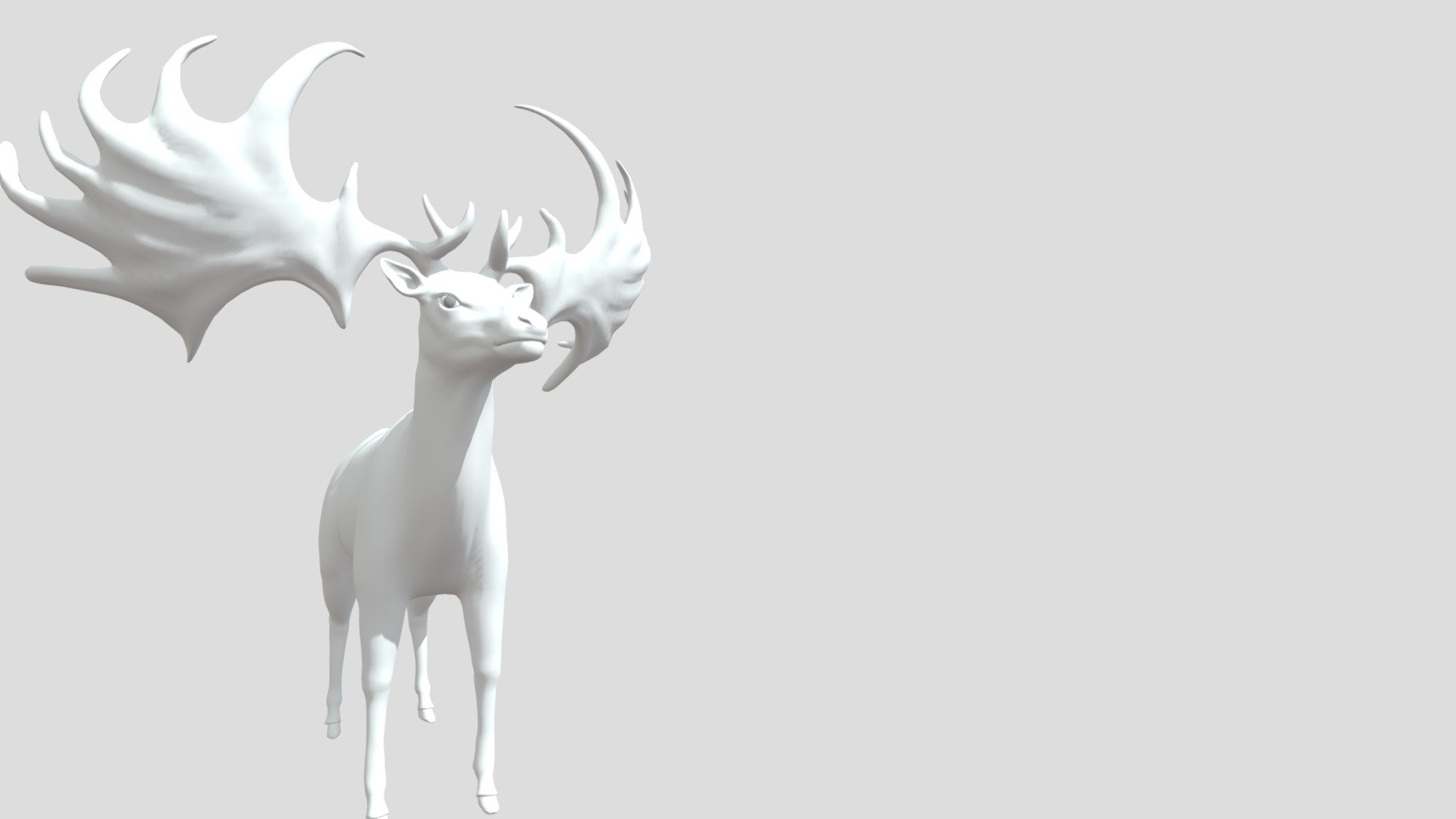 Deer