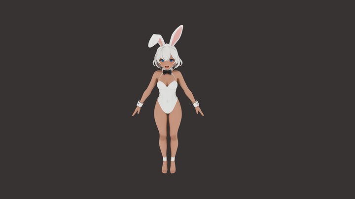 An anime-inspired bunny girl 3D Model