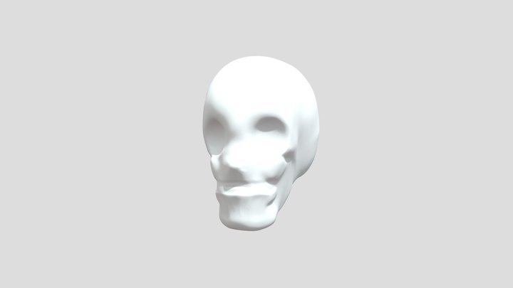 My model 3D Model