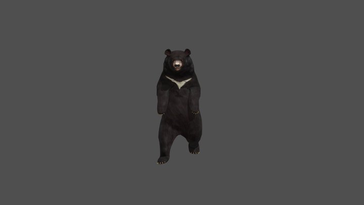 bear_upright_walking_v00040024 3D Model