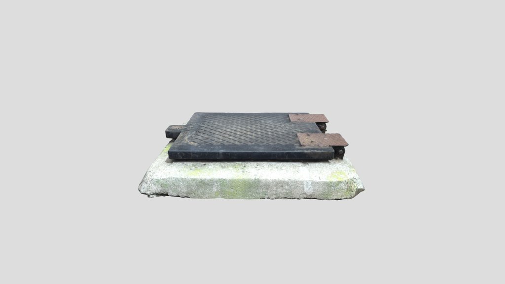 3d Scanned Trap Door