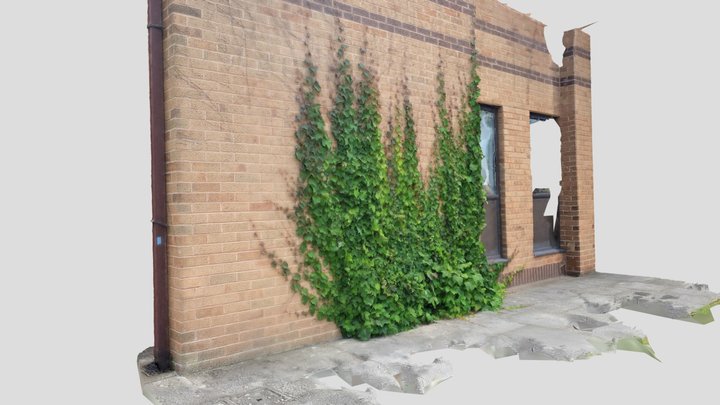 Q block Ivy 3D Model