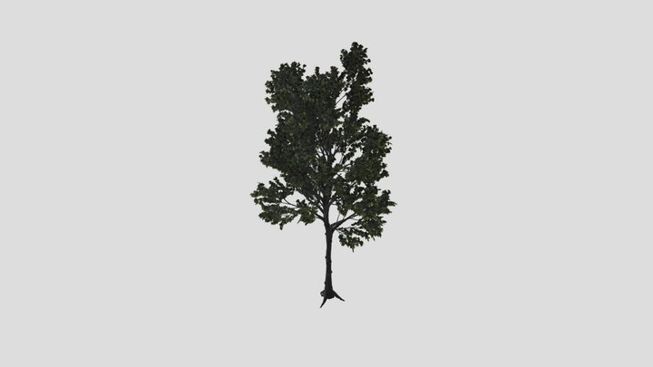 Maple Tree Variation – Modello 3D gratuito STL