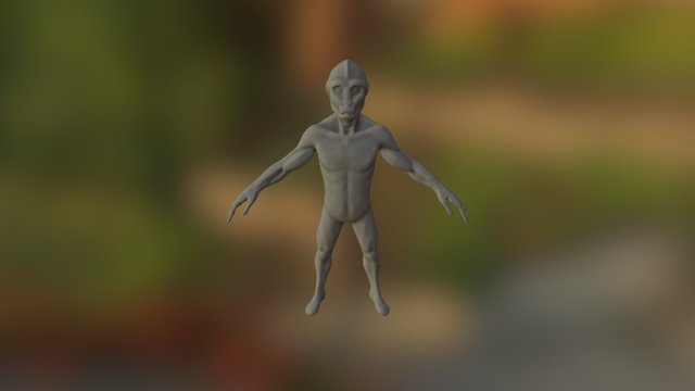 Derp 3D Model