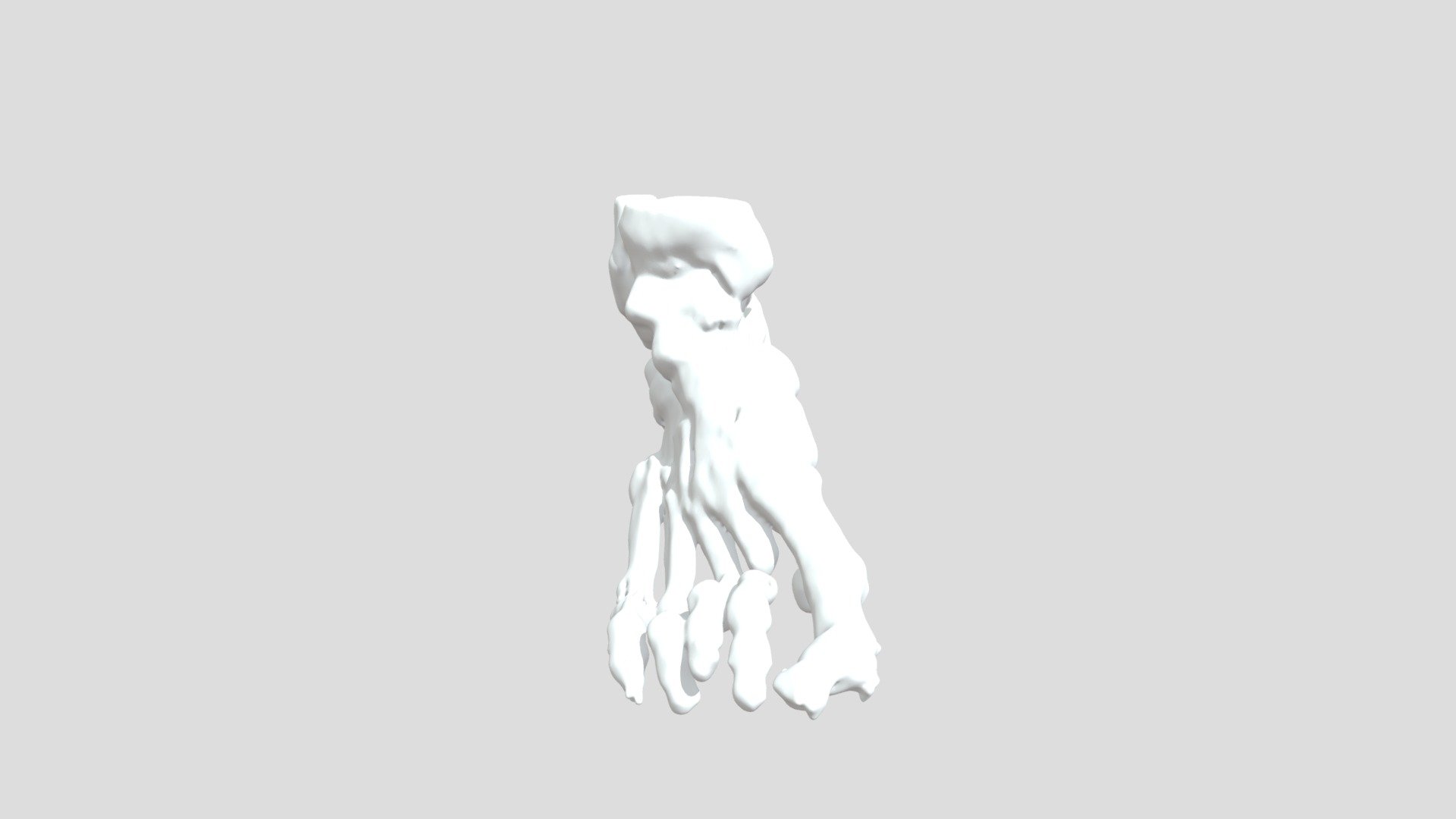 Bone