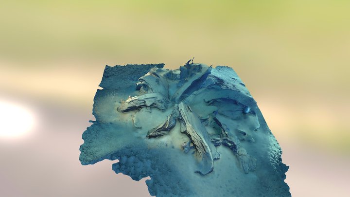 Asphalt Volcano "Tar Lilly" Expulsion Feature 3D Model