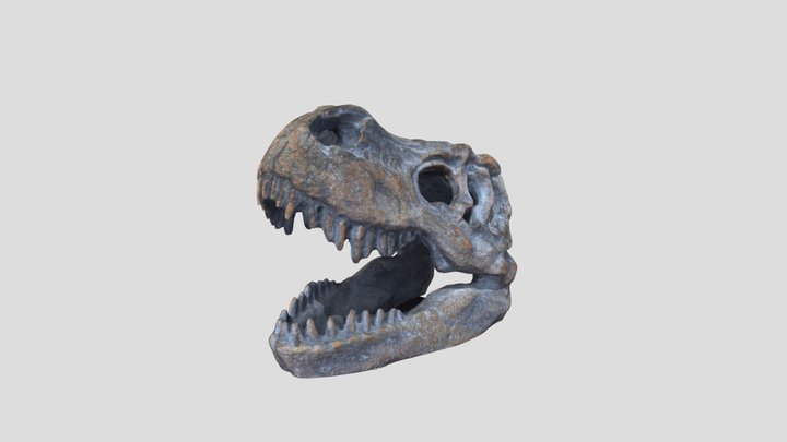 dinosaur skull 3d scan