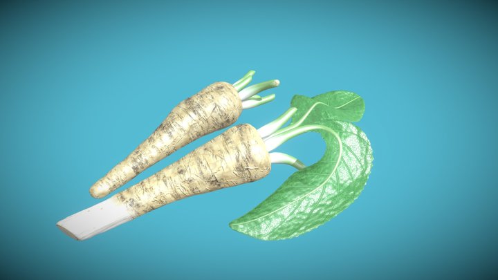 Horseradish roots 3D Model