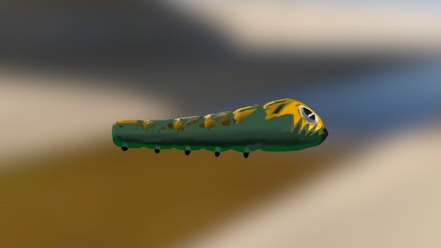 Bug 3D Model
