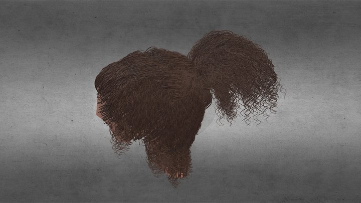 Poly hair 3D Model