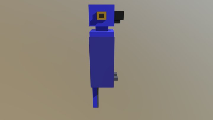 Arara 3D Model
