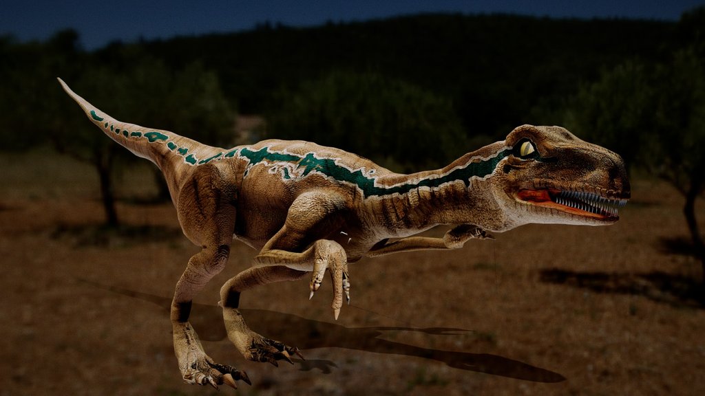 Velociraptor