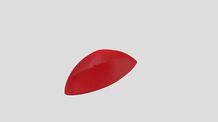 New Qlone 3D Model